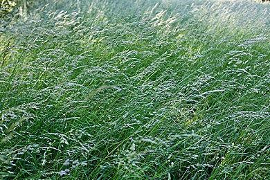 《杀出重围：复刻版》新预告 2026年2月5日发售